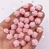 50pcs 10mm AB Resin Glitter Rose Rhinestones