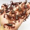Realistic Fake Cockroach Prank Toys – Rubber Roach Simulation Gag Props for Jokes, Tricks & April Fools Fun
