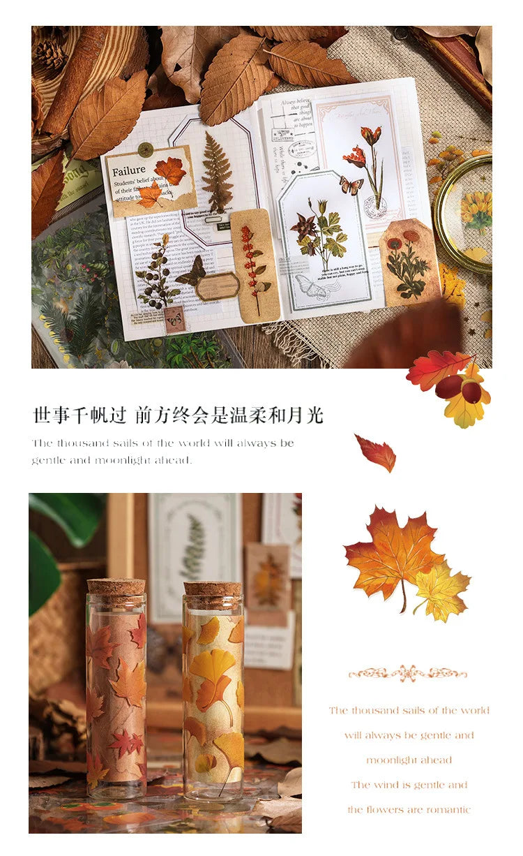8pcs Vintage Autumn Forest Stickers