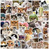 10/30/50PCS Kawaii Love Cat Stickers – Cute PVC Stickers for Kids, Scrapbooking, School Supplies & Crafts
