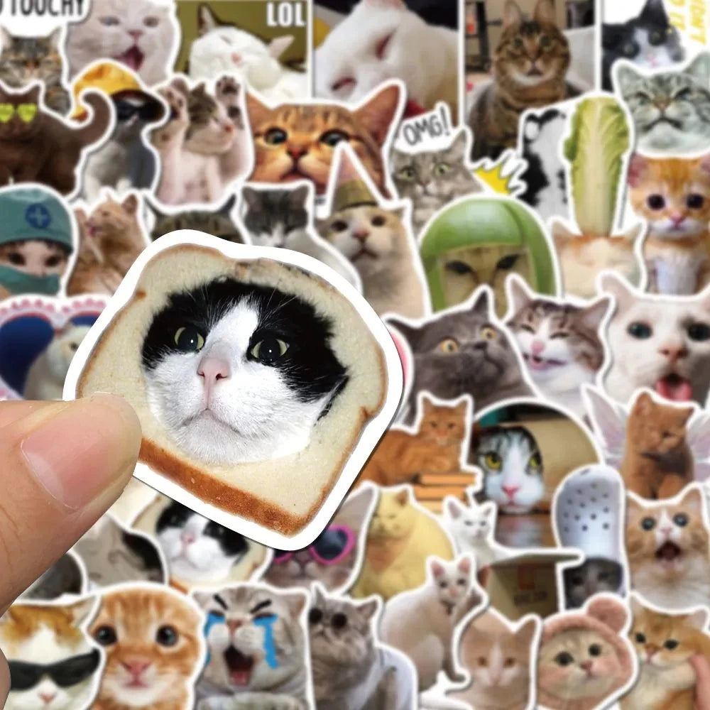 10/30/50PCS Cat Stickers