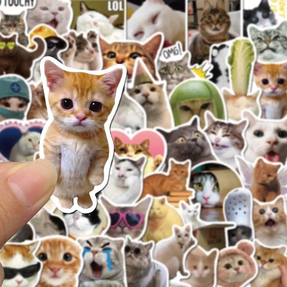 10/30/50PCS Cat Stickers