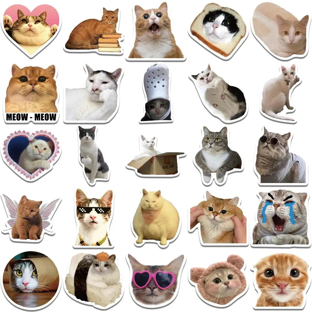 10/30/50PCS Cat Stickers