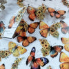 30pcs Vintage Butterfly PET Stickers – Scrapbook & Journal Decoration